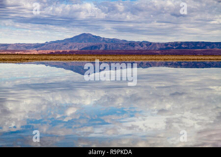 Salt lagoon in the 'Salar de Atacama” landscape view in the Atacama Desert in Chile, with mountains and volcano reflections on the still water of the  Stock Photo