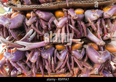 Red crabs Stock Photo