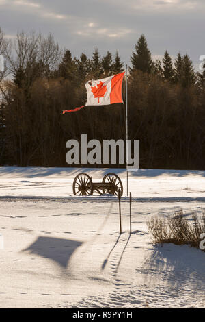 A ripped Canadian flag Stock Photo