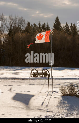 A ripped Canadian flag Stock Photo