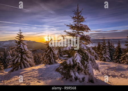 beautiful winter scene landscape at sunset - great winterscape wallpaper from Poiana Brasov Romania Stock Photo