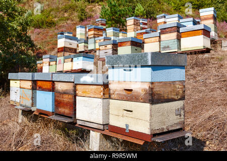 Beehives. Traditional colored wooden box. Muniellos, Asturias, Spain. Horizontal Stock Photo