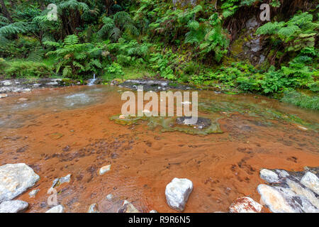 Beautiful red from the Caldeira Velha hot springs near Ribeira Grande in Sao Miguel. Stock Photo