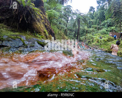 RIBEIRA GRANDE - PORTUGAL, AUGUST 5: Unidentified people relax in the lower hot springs of the Caldeira Velha hot springs near Lagoa do Fogo and Ribei Stock Photo