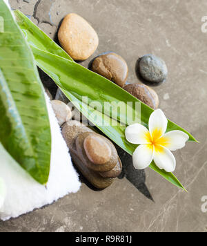 Top view of spa objects and stones for massage treatment on black background. Stock Photo