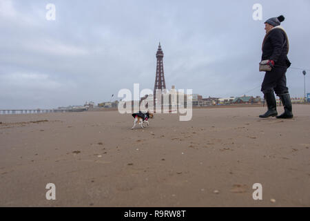 Blackpool, UK. 28th Dec, 2018. Weather news. A woman walks her dogs along the beach in front of Blackpool tower this morning, with hat, gloves and coat required as a cool breeze is blowing in from the sea. Credit: Gary Telford/Alamy Live News Stock Photo
