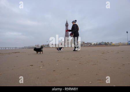 Blackpool, UK. 28th Dec, 2018. Weather news. A woman walks her dogs along the beach in front of Blackpool tower this morning, with hat, gloves and coat required as a cool breeze is blowing in from the sea. Credit: Gary Telford/Alamy Live News Stock Photo