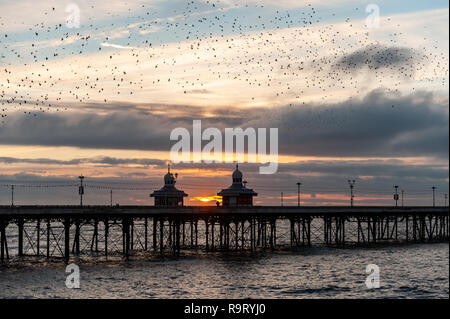 Blackpool, UK. 28th Dec, 2018. Thousands of starlings fly in murmurations around Blackpool North Pier before roosting for the night on the pier's legs. Credit: AG News/Alamy Live News. Stock Photo