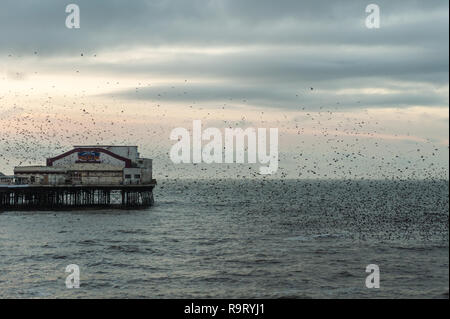 Blackpool, UK. 28th Dec, 2018. Thousands of starlings fly in murmurations around Blackpool North Pier , before roosting for the night on the pier's legs. Credit: Andy Gibson/Alamy Live News. Stock Photo