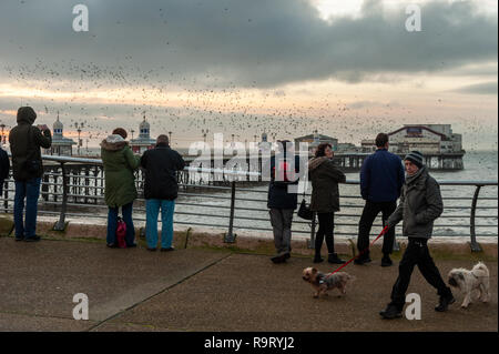 Blackpool, UK. 28th Dec, 2018. People line the promenade railings in Blackpool to watch thousands of starlings fly in murmurations around the North Pier before roosting for the night on the pier's legs. Credit: Andy Gibson/Alamy Live News. Stock Photo