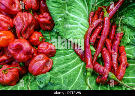 Red peppers on vegetable market, Palma de Mallorca, Spain Stock Photo