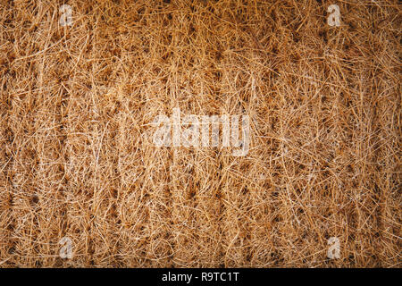 Dried straw, grass thatch plants pack for wall, roof, countryside hut. Nature abstract textured background. Stock Photo