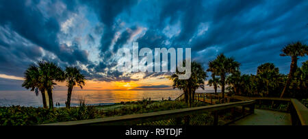 Palm trees silhoutted by  dramatic blue sky with dark clouds at sunset at Caspersen Beach on the Gulf of Mexico in Venice Florida Stock Photo