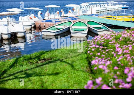 Small vibrant green color of fiberglass boats and white swan boats floating at the pier in the blue lagoon on sunny day, City life and lifestyles of p Stock Photo