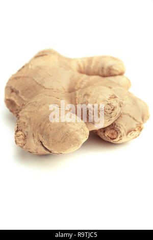 Fresh Ginger root isolated on white background. Close-up of fresh whole Ginger Root isolated on white Background. Stock Photo