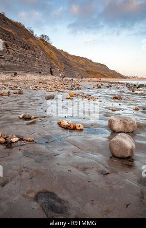 The Ammonite pavement and cliffs on Monmouth Beach at Lyme Regis, Dorset, England Stock Photo