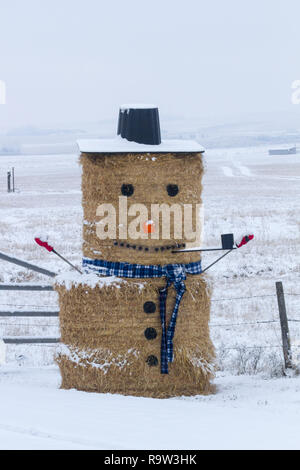 A farmer's creative take on a winter snowman using hay bales  in southern Alberta, Canada. Stock Photo