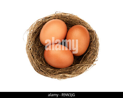 Top view nest with three whole brown eggs isolated Stock Photo
