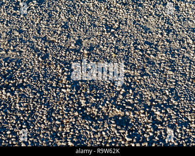Background of Round Little Stones Stock Photo