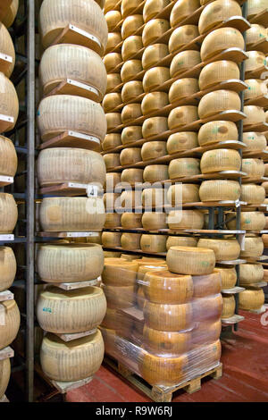 hundreds of different varieties of parmigiano reggiano in the biggest  parmesan cheese storage kinds of cheese ripening. picture of a cheese  factory in Switzerland. Generative AI Stock Illustration