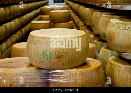 Cheese wheel parmesan hi-res stock photography and images - Alamy