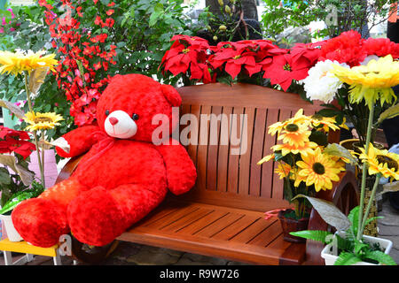 Red Teddy Bear on the chair Stock Photo
