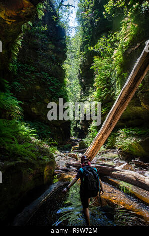 Canyoning in the Blue Mountains, Australia. Stock Photo