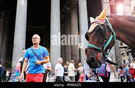 ROME, ITALY - OCTOBER 11, 2018: close-up of a horse with carriage at the pantheon in rome, Italy. Stock Photo
