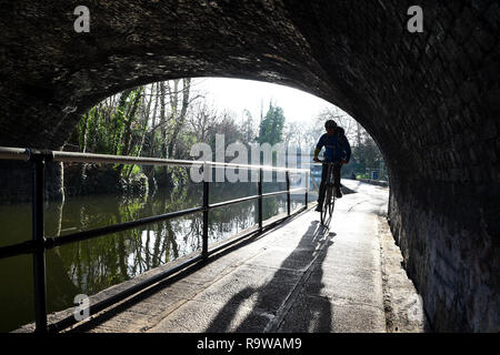 A man cycles along the towpath alongside the Regent's Canal in Camden, north London. Stock Photo
