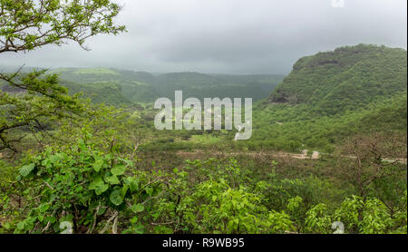 Wadi Darbat, near Salalah, Dhofar Province, Oman, during the khareef or monsoon season Stock Photo