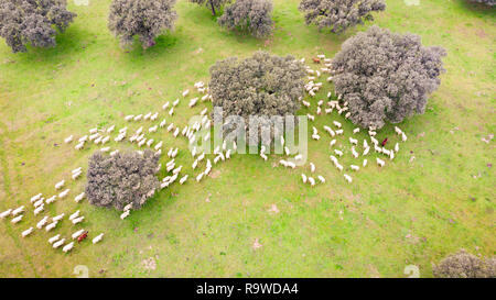 Beautiful aerial view of the coutryside in Spain Stock Photo