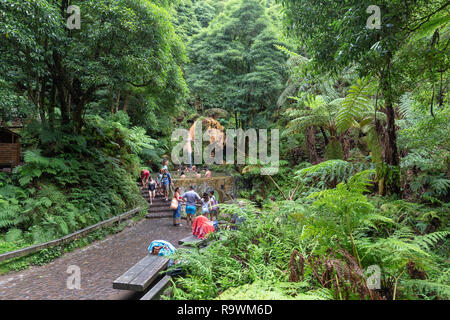 RIBEIRA GRANDE - PORTUGAL, AUGUST 5: Unidentified people gather around the Caldeira Velha hot springs near Lagoa do Fogo and Ribeira Grande, Portugal  Stock Photo