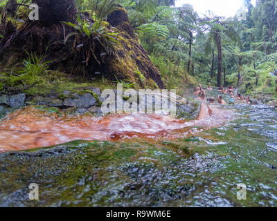 RIBEIRA GRANDE - PORTUGAL, AUGUST 5: Unidentified people bathe in the lower hot springs of the Caldeira Velha hot springs near Lagoa do Fogo and Ribei Stock Photo