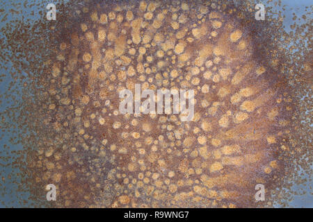 Detail of the rust stains on the metal surface Stock Photo