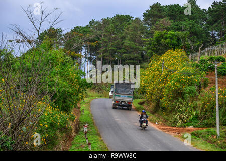 Dalat, Vietnam - Nov 12, 2018. Mountain road at autumn in Dalat, Vietnam. Dalat is located 1,500 m above sea level in the Central Highlands region. Stock Photo