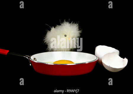 baby chick with raw egg yolk in red frying pan Stock Photo