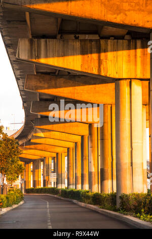 detail of concrete columns underneath motorway bridge Marseilles, South of France, France Stock Photo