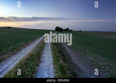 A long, dirt road through green fields - an evening view Stock Photo