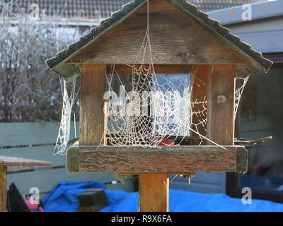 A very hard frost highlights the complex architecture and beauty of spiders' webs on a frosty bird-table in a Scottish garden. Stock Photo