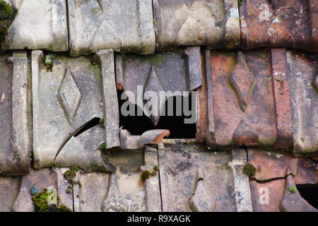 Roof tiles of Schaffhausen Stock Photo