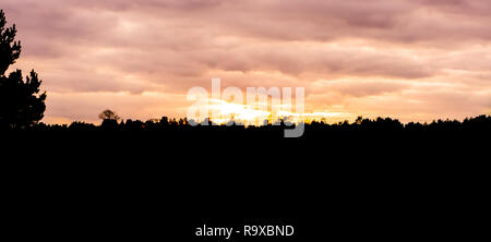 silhouette of a moorland landscape in the forest at sunset, sundown giving orange and pink colors in the sky and clouds Stock Photo