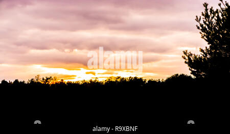 dark silhouette of a forest landscape scenery at sunset, sundown giving a beautiful effect in the sky and clouds Stock Photo