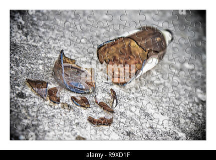 Puzzle of a broken bottle of beer resting on the ground - Free themselves from alcohol addiction - concept image - Toned image Stock Photo