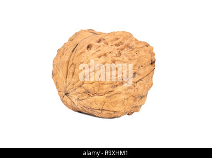 Dry big walnut isolated on white background Stock Photo