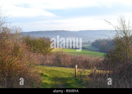 Winter afternoon views of Lullingstone Country Park near Sevenoaks, Kent, in the Darenth Valley. December 27, 2018. Popular with walkers and golfers Stock Photo