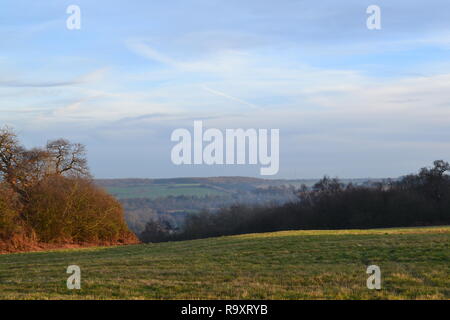 Part sunny winter afternoon view of Lullingstone Country Park near Sevenoaks, Kent, in the Darenth Valley. December 27, 2018. View east. Stock Photo