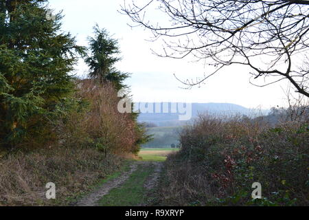 Winter afternoon views of Lullingstone Country Park near Sevenoaks, Kent, in the Darenth Valley. December 27, 2018. Popular with walkers and golfers Stock Photo