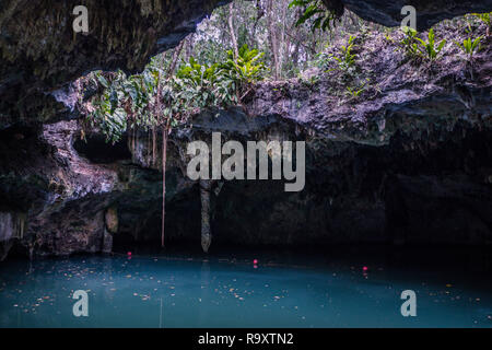 Jade Cenote Cozumel Island Mexico Stock Photo - Alamy