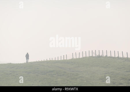 Adult walk on the field during fog morning Stock Photo