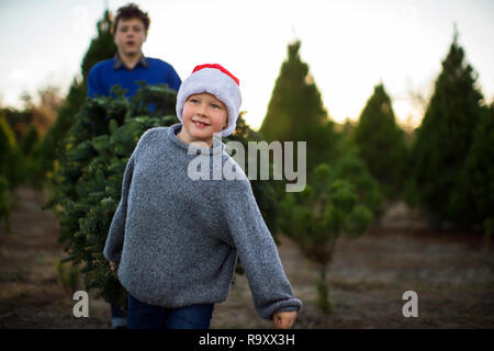 Happy young boy wearing a santa hat looks forward to Christmas as he helps his older brother carry a Christmas tree at the Christmas tree farm. Stock Photo